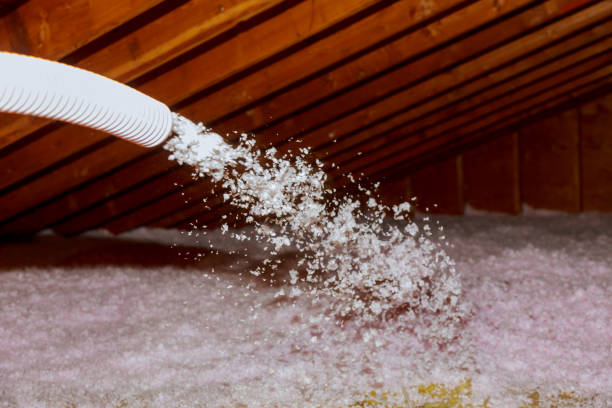 Best Blown-in Insulation in Holden, MO