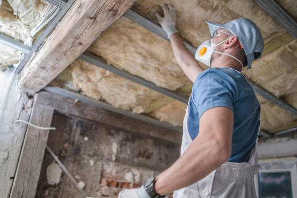 Best Insulation for Specific Applications in Holden, MO