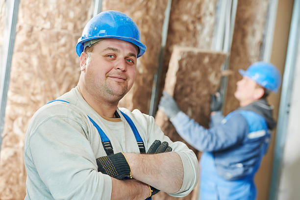 Best Specialized Insulation Services in Holden, MO